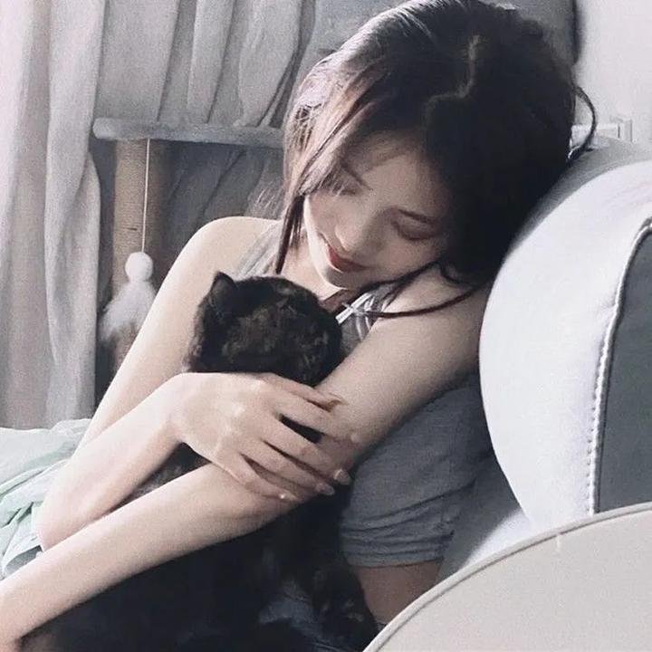 火之鸟772