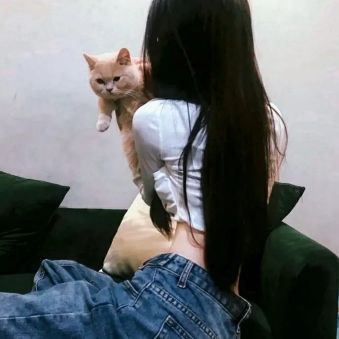 乱世香妃